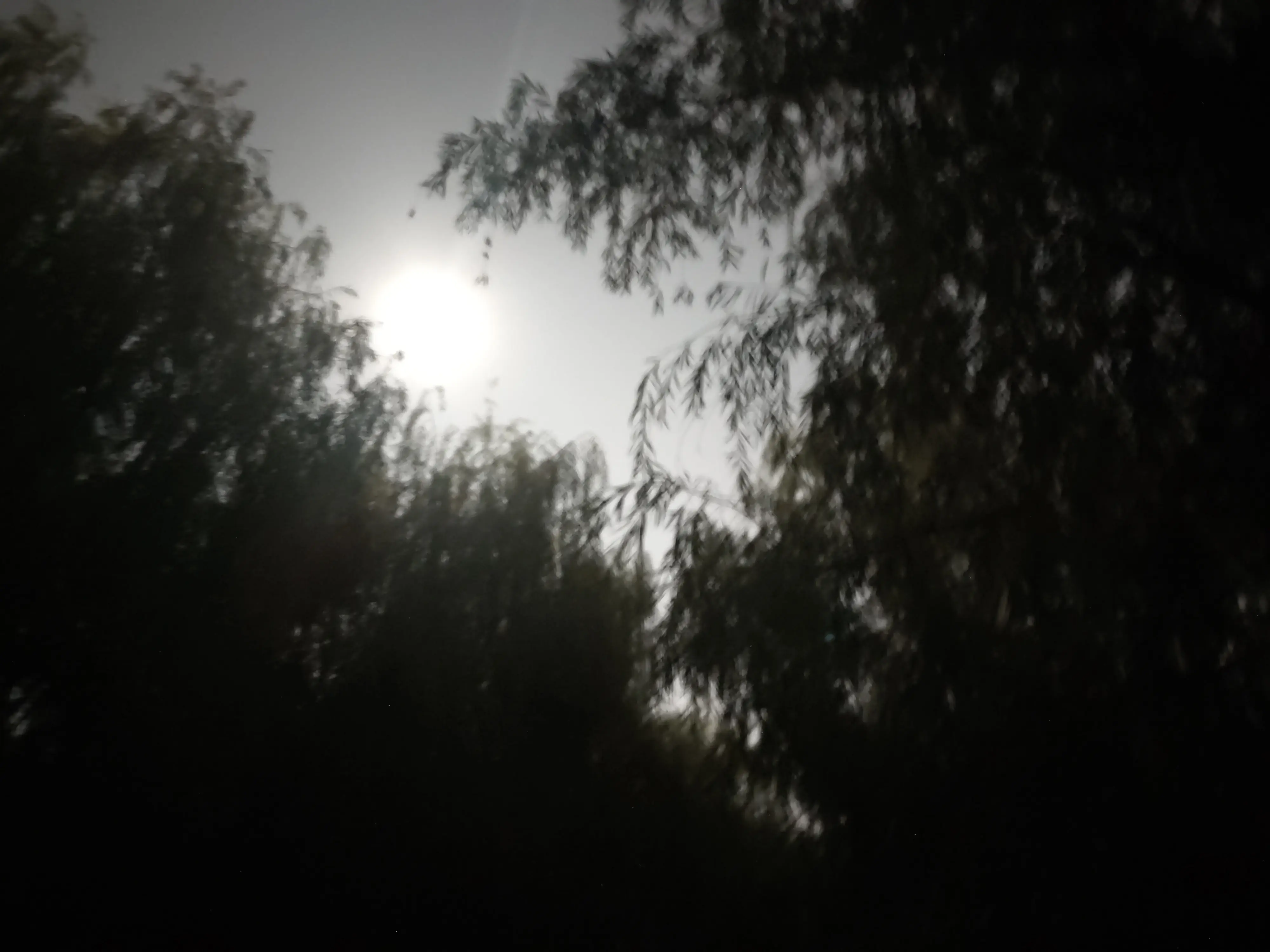 26acd40680f1e592e4c2187466786c1.webp