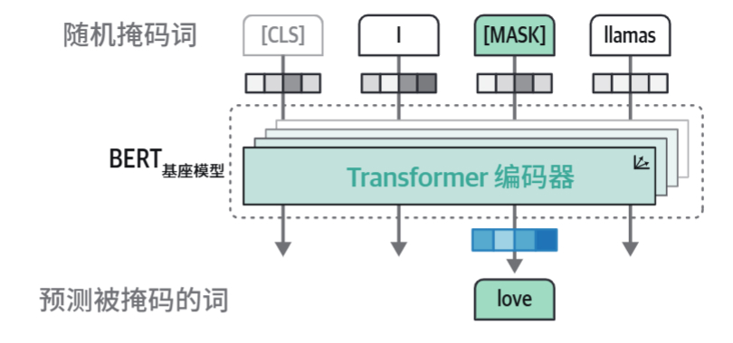 HOLLM-1掩码语言建模.jpg