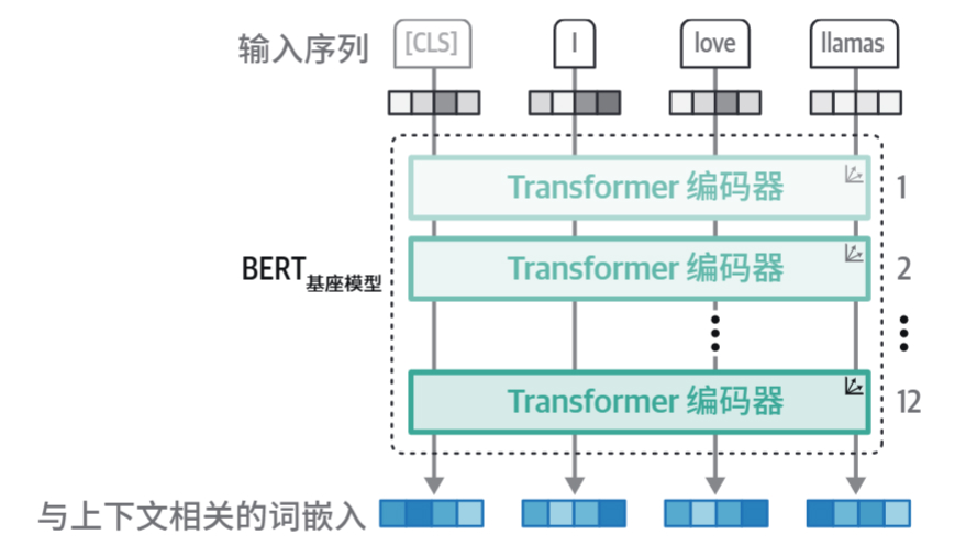 HOLLM-1BERT架构.jpg