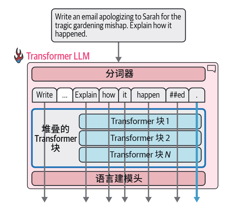 HOLLM3-每个词元都通过自己的计算流进行处理.jpg